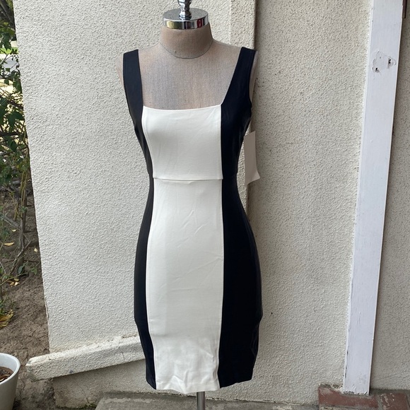 NWT Boston Proper gorgeous stretchy bodycon dress with faux leather on sides. - Picture 3 of 8
